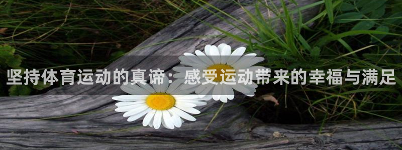 尊龙官方正版app娱乐下载：坚持体育运动的真谛：感受运动带来