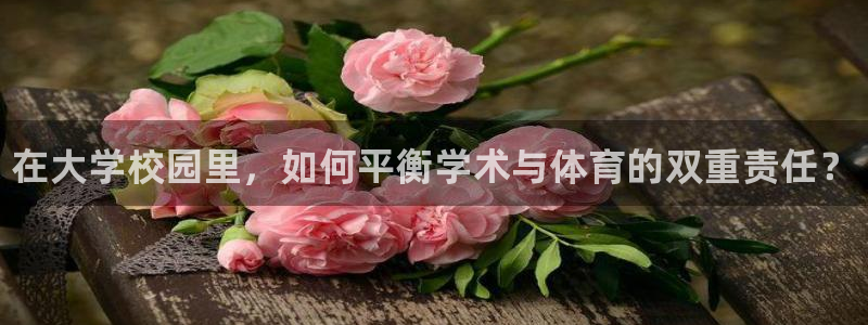 尊龙官网下载娱乐