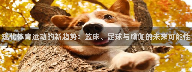 尊龙官网下载平台是正规平台吗知乎：现代体育运动的新趋势：篮球