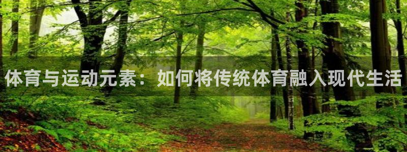尊龙官方正版app娱乐代理怎么样：体育与运动元素：如