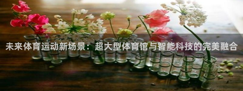 尊龙官网下载招商电话是多少啊：未来体育运动新场景：超大型体育
