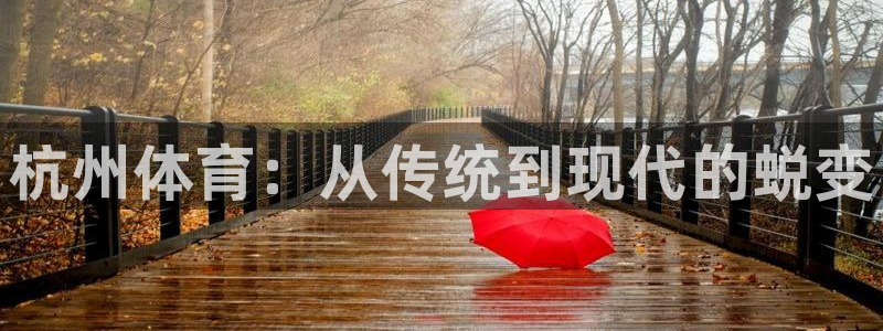 尊龙官方正版app科技：杭州体育：从传统到现代的蜕变
