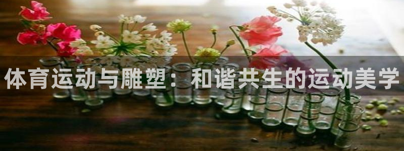 尊龙官网下载平台注册要钱吗安全吗：体育运动与雕塑：和