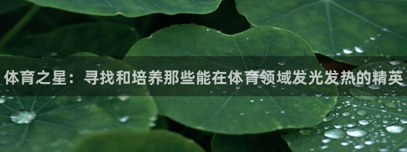 尊龙官方正版app五金厂：体育之星：寻找和培养那些能