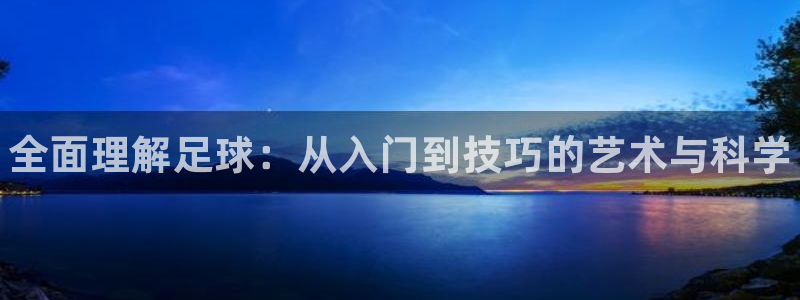 尊龙官方正版app集团logo：全面理解足球：从入门