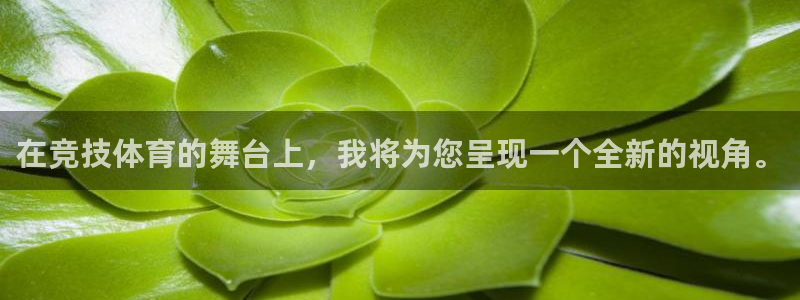 尊龙官方正版app娱乐首页官网下载：在竞技体育的舞台