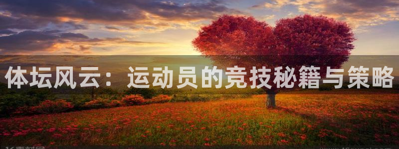 尊龙官网下载开户：体坛风云：运动员的竞技秘籍与策略