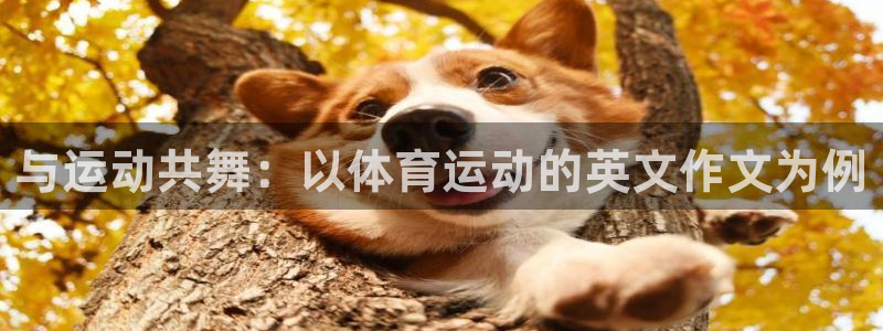 尊龙官网下载：与运动共舞：以体育运动的英文作文为例