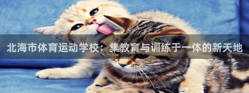 尊龙官方正版app官网：北海市体育运动学校：集教育与训练于一