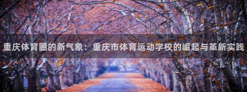 尊龙官方正版app代理：重庆体育圈的新气象：重庆市体