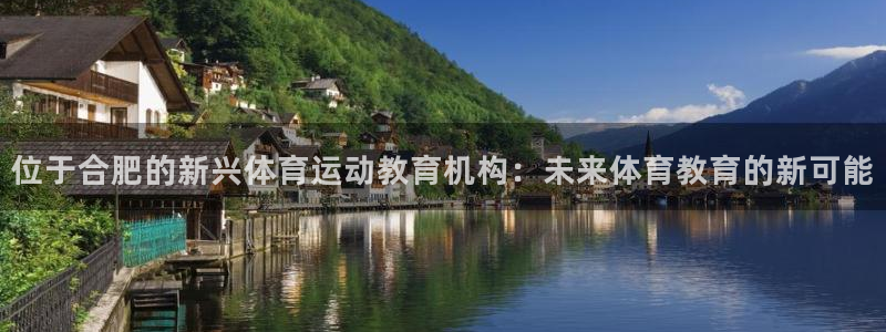 尊龙官方集团官网：位于合肥的新兴体育运动教育机构：未