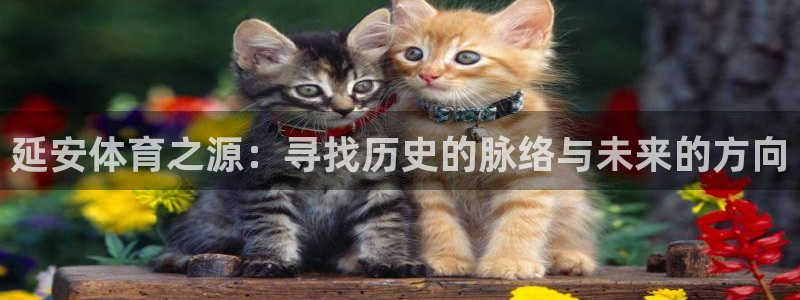 尊龙官网下载平台：延安体育之源：寻找历史的脉络与未来