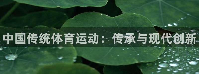 尊龙官方正版app集团官网网址：中国传统体育运动：传