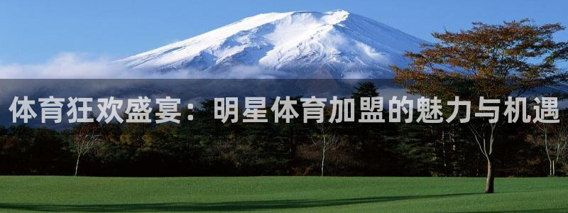 尊龙官方正版app集团logo：体育狂欢盛宴：明星体