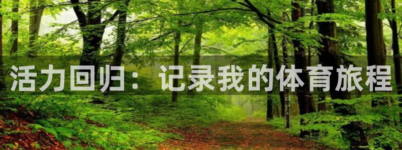 尊龙官网下载平台注册流程图：活力回归：记录我的体育旅