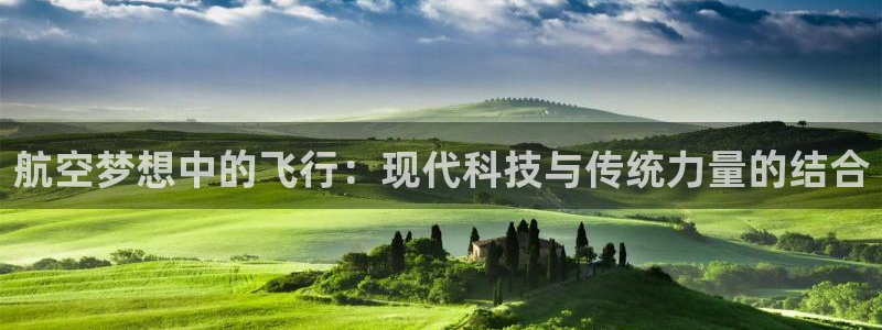 尊龙官方正版app集团简介：航空梦想中的飞行：现代科