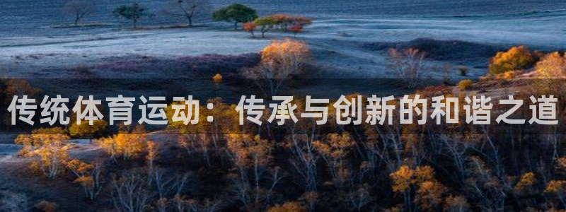 尊龙官方正版app神州：传统体育运动：传承与创新的和