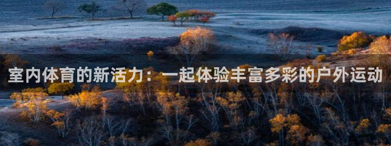 尊龙官网下载注册：室内体育的新活力：一起体验丰富多彩