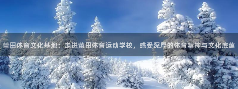 尊龙官网下载平台假的吗是真的吗吗
