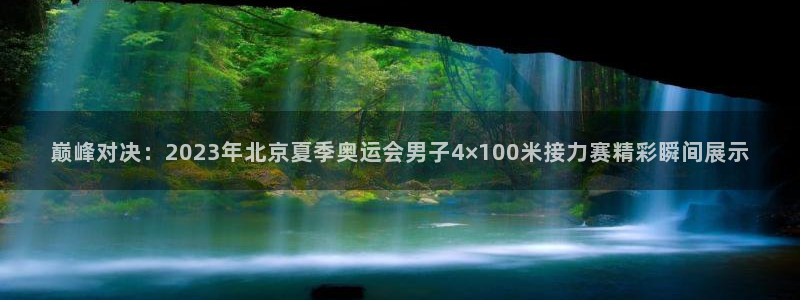 尊龙官方正版app集团logo：巅峰对决：2023年北京夏季