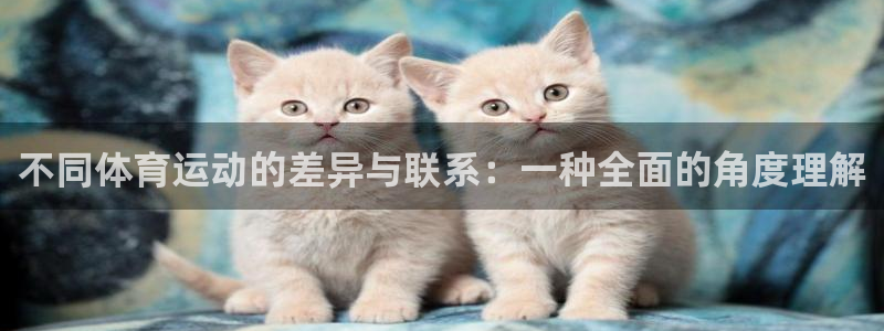 尊龙官方正版app开户：不同体育运动的差异与联系：一种全面的